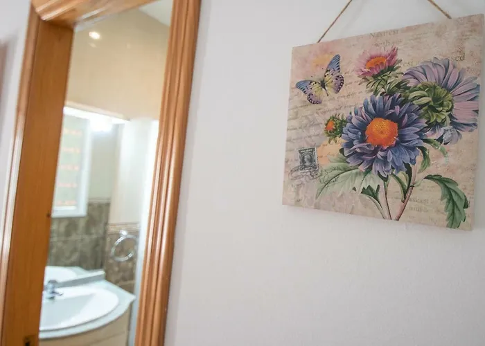 La Casa De Margaritas Cadiz