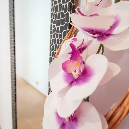 公寓 La Casa De Margaritas *