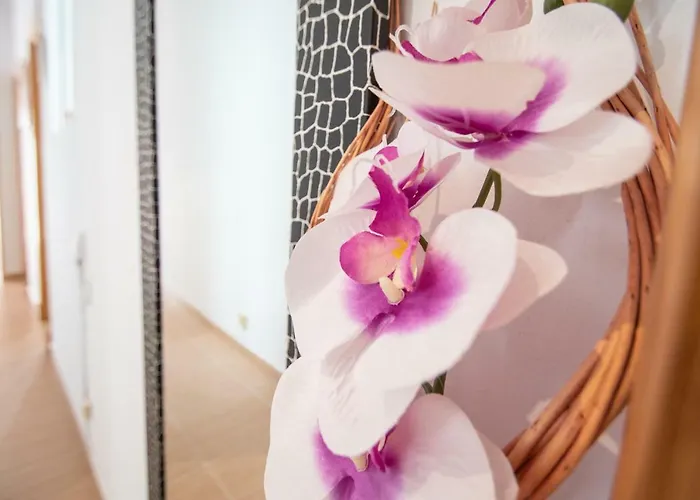 公寓 La Casa De Margaritas *